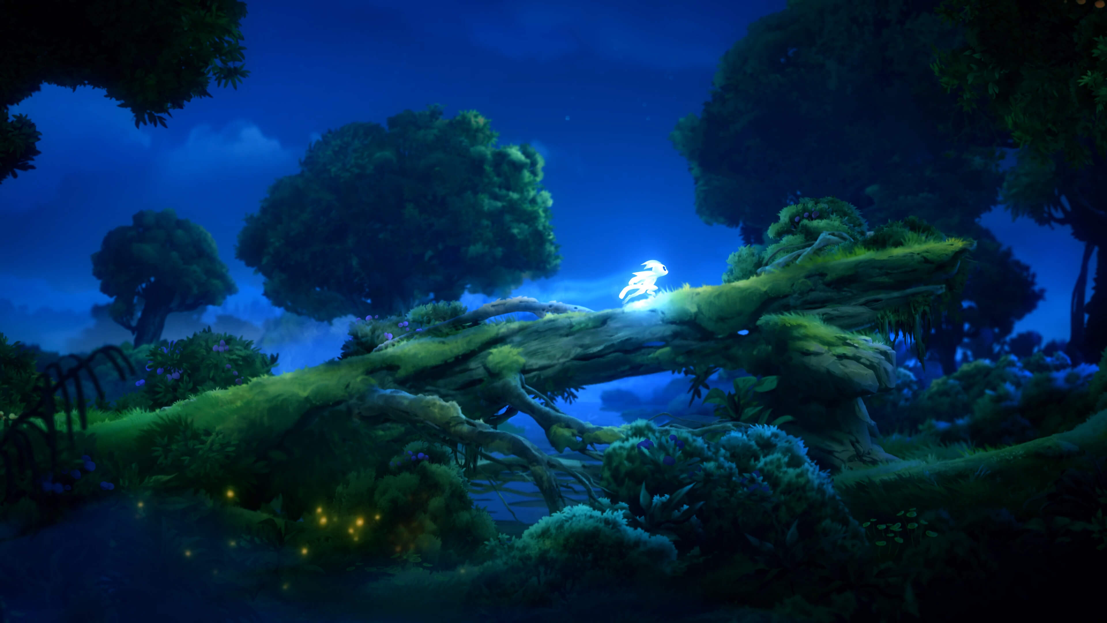 ori and the will of the wisps incelemesi